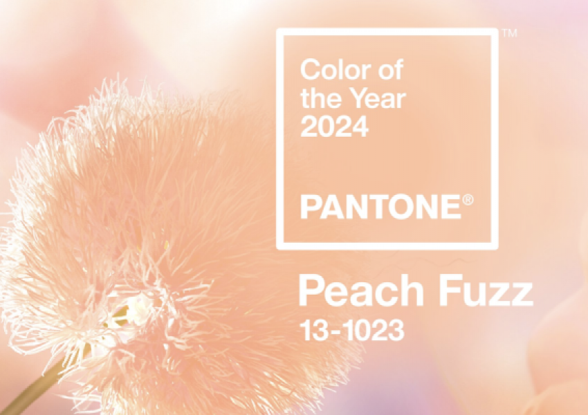 color-of-the-year-pantone-peach-fuzz-2024